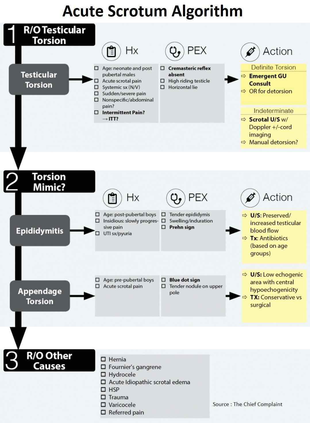 Acute Scrotum Algorithm - Manual of Medicine