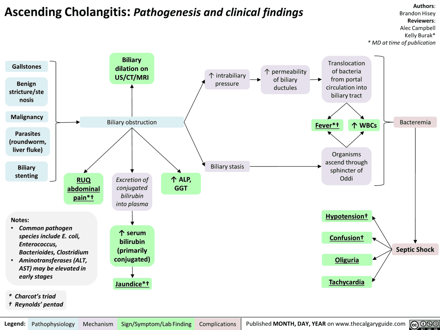 Ascending Cholangitis aka Biliary Sepsis Manual of Medicine