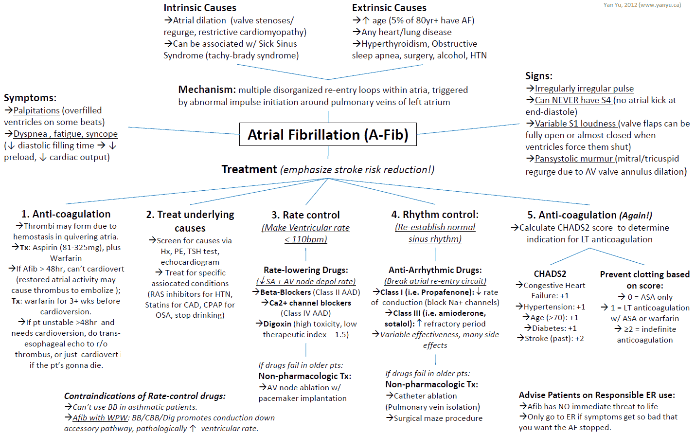 Atrial Fibrillation and Ventricular Dysfunction