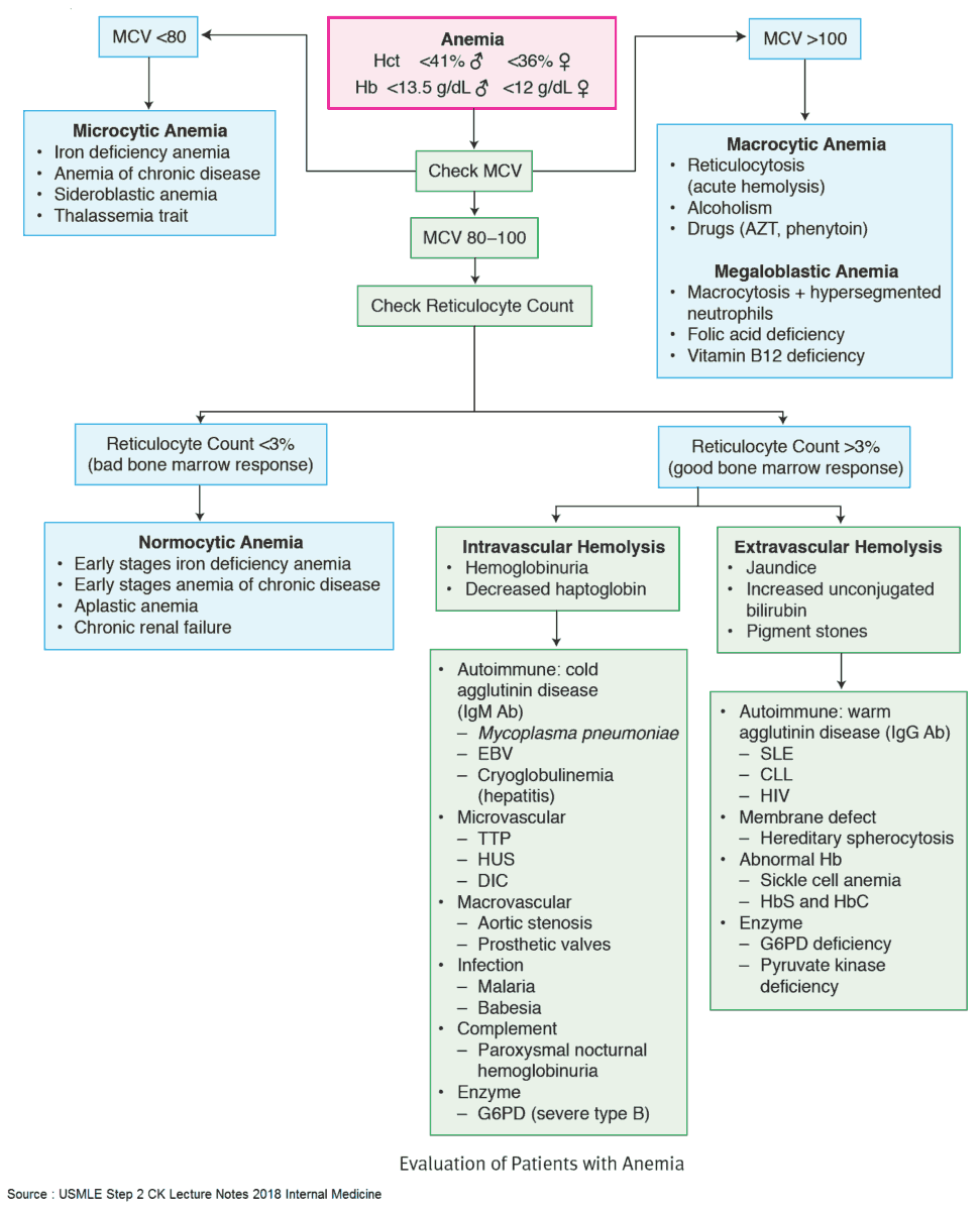 anemia patient