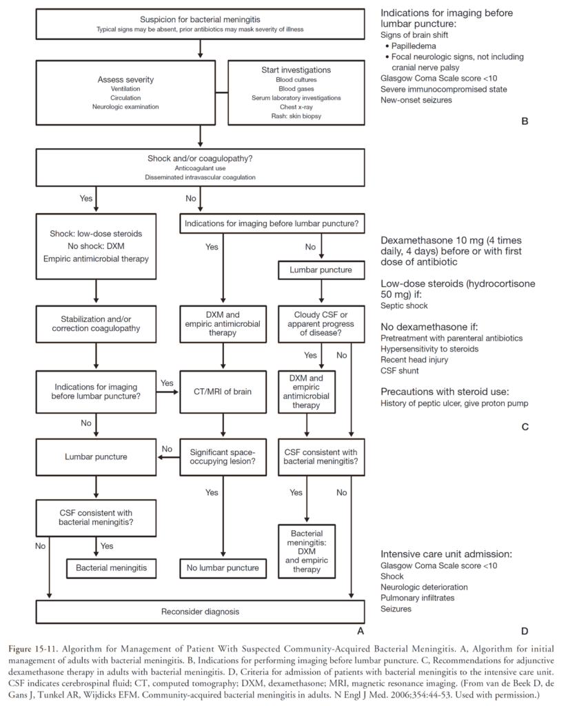 Algorithm for Management of Patient With Suspected Community-Acquired Bacterial Meningitis