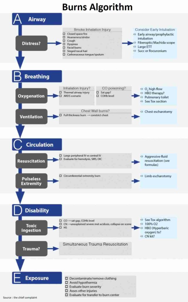 Shock Algorithm - Manual of Medicine