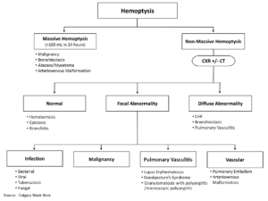 Read more about the article Hemoptysis – Causes, Evaluation and Management