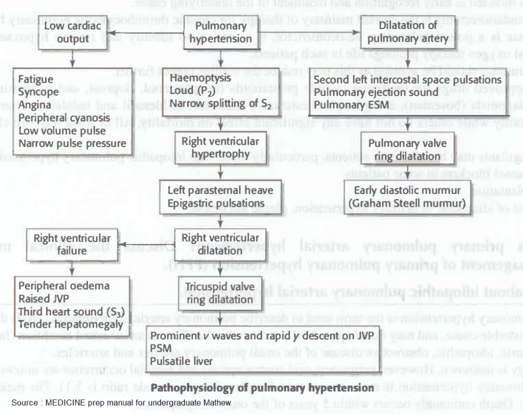 Pathophysiology of pulmonary hypertension