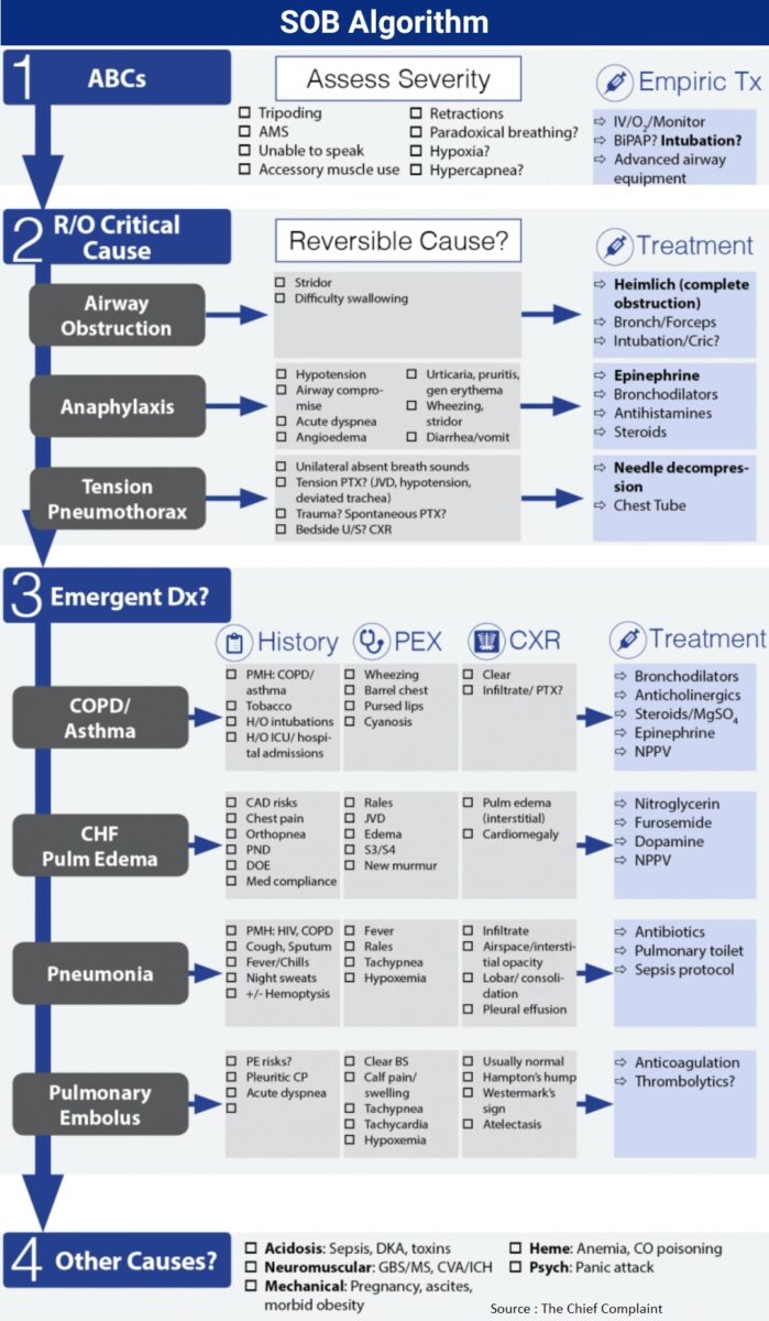 Emphysema: Overview and Practice Questions (2024)