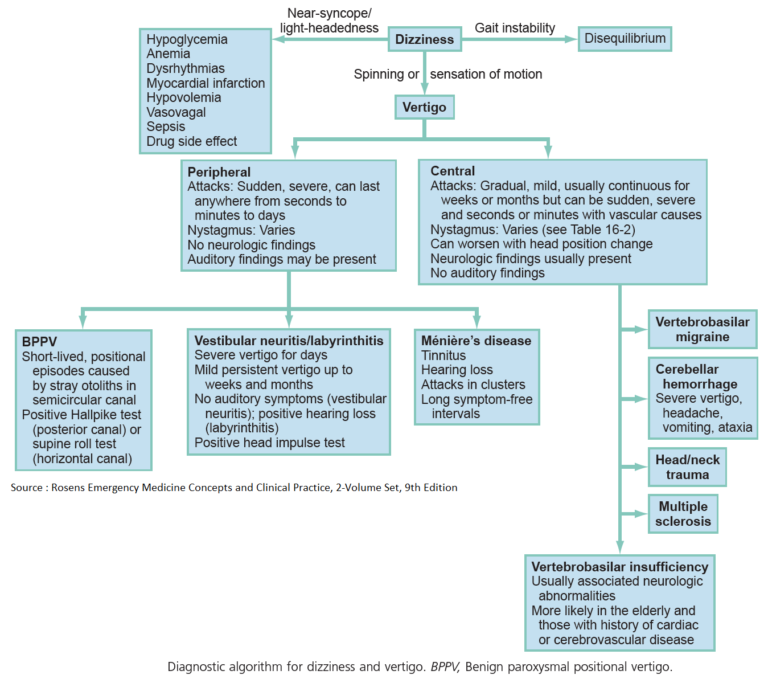 Vertigo Algorithm and Differential Diagnosis Manual of Medicine