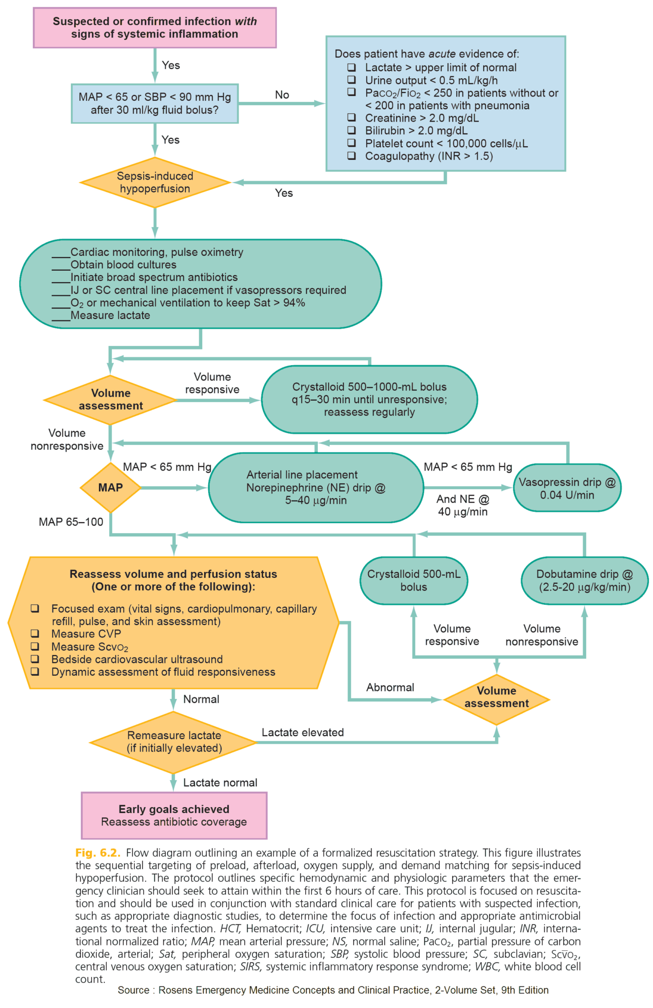 Sepsis Algorithm And Differential Diagnosis Manual Of Medicine   Flow Diagram For Resuscitation In Sepsis Induced Hypoperfusion 1327x2048 