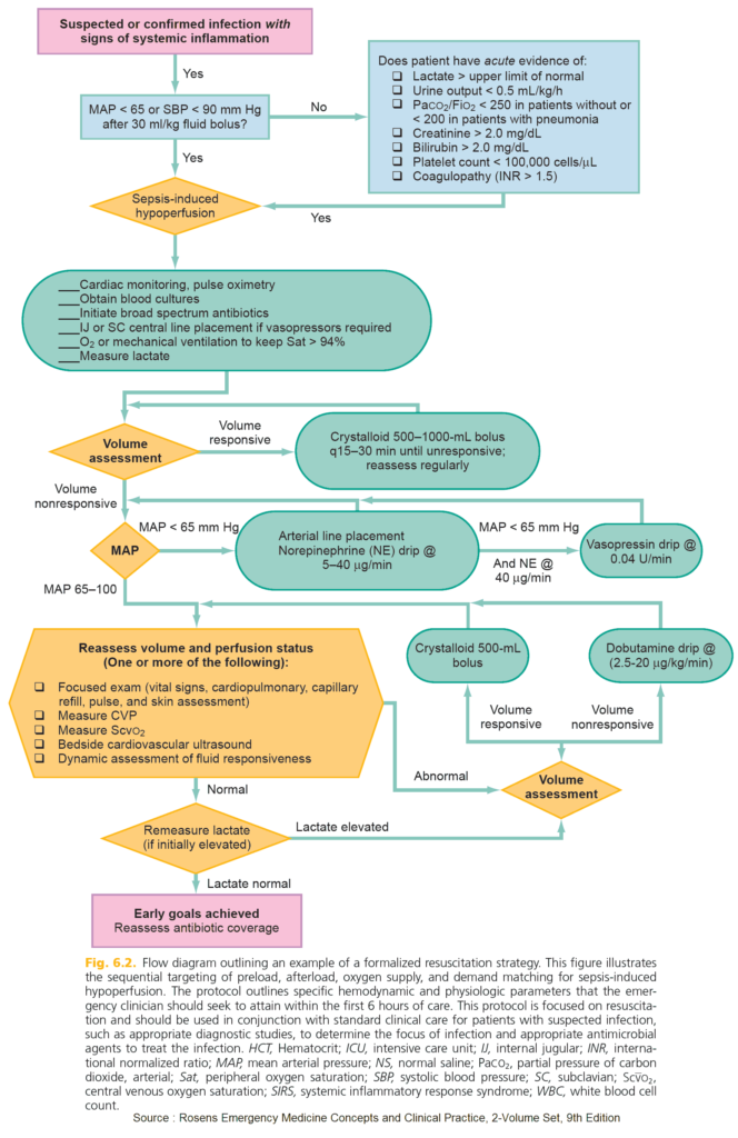 Flow diagram for resuscitation in sepsis-induced hypoperfusion