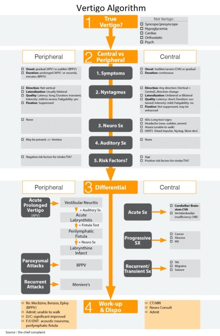 Vertigo Algorithm And Differential Diagnosis Manual Of Medicine