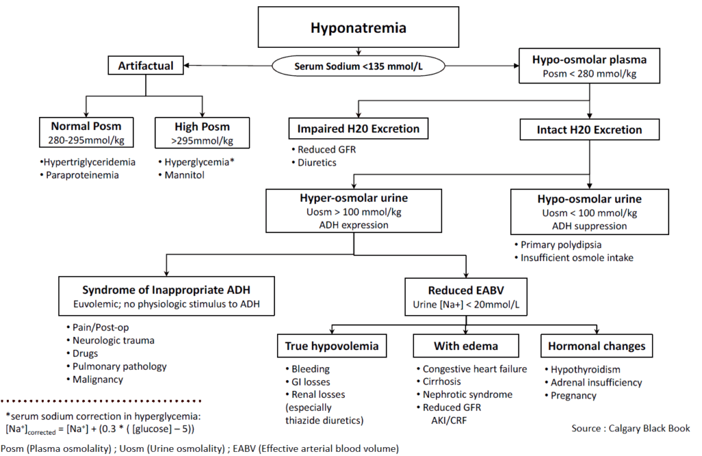 Hyponatremia - Differential Diagnosis