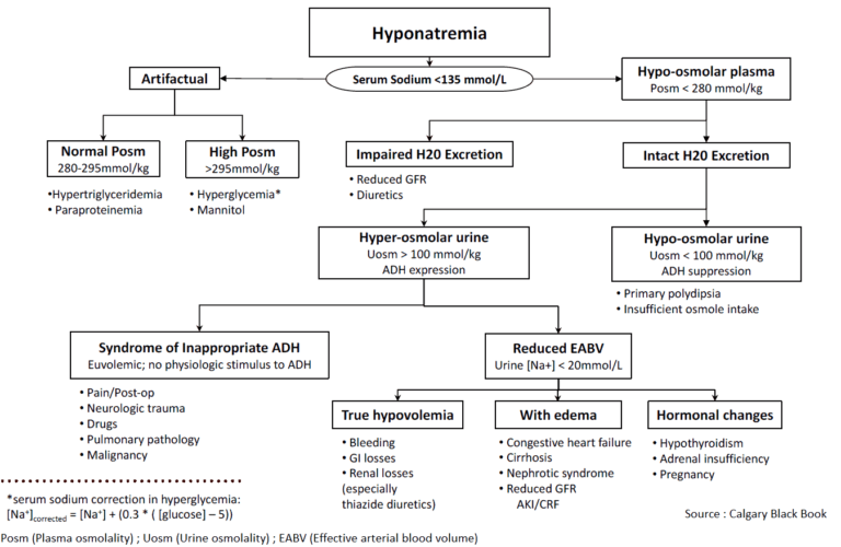 Hyponatremia and Hypernatremia in the Emergency Department - Manual of ...