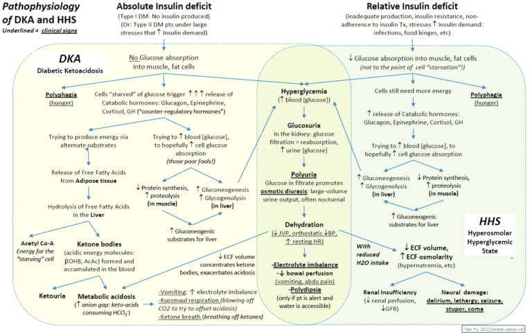 diabetic-ketoacidosis-dka-algorithm-manual-of-medicine