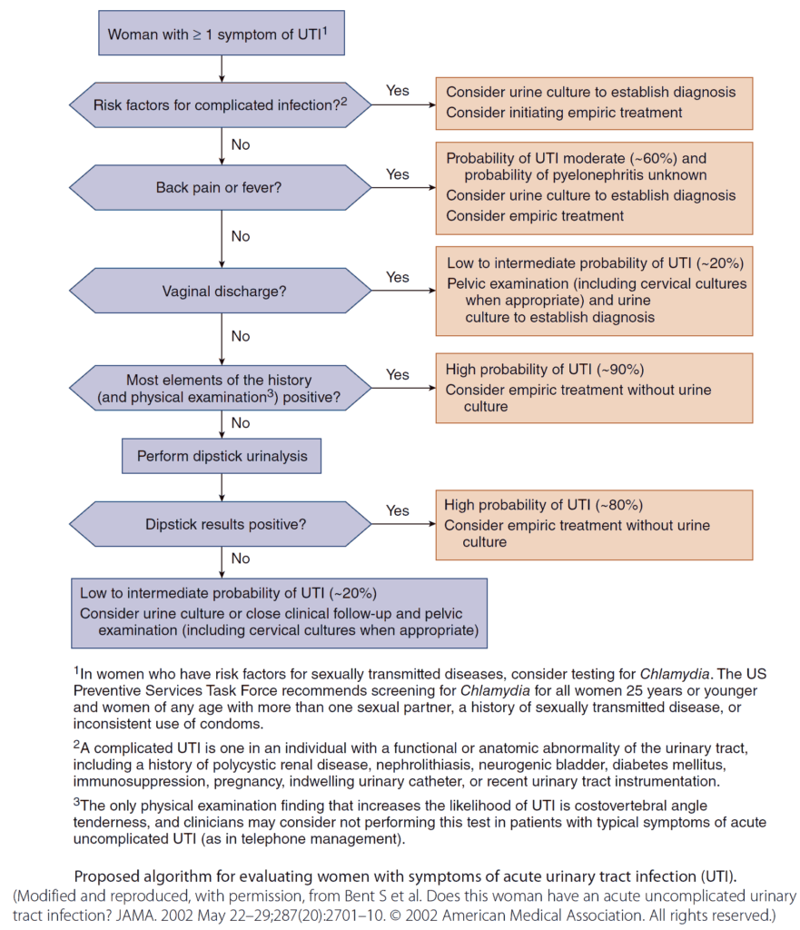 Proposed algorithm for evaluating women with symptoms of acute urinary tract infection (UTI)