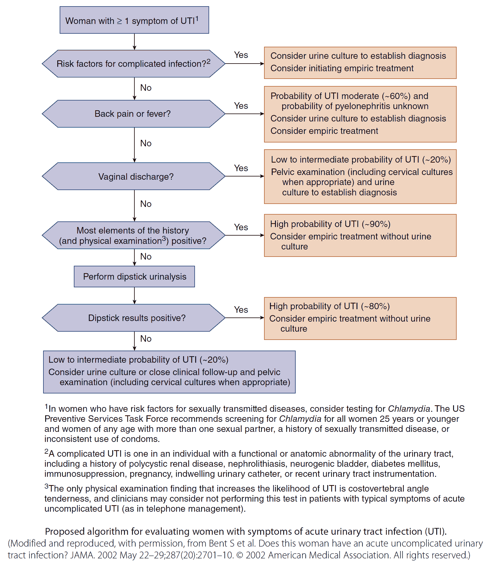 Low Back Pain Algorithm and Differential Diagnosis - Manual of Medicine