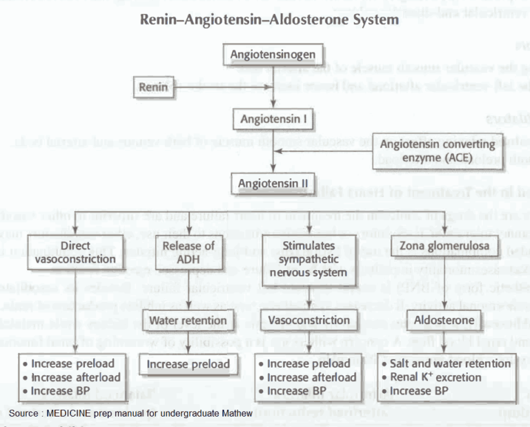 Inhibitors of the Renin Angiotensin Aldosteron System - Manual of Medicine