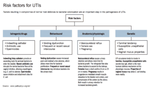 utis tract urinary risk