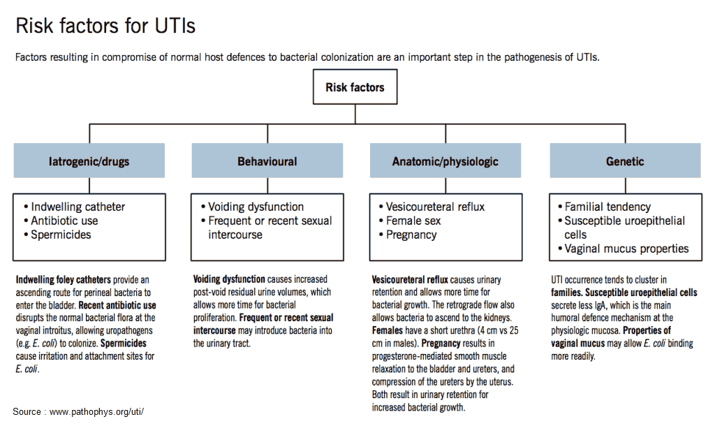 Risk Factors for UTIs (Urinary Tract Infections)