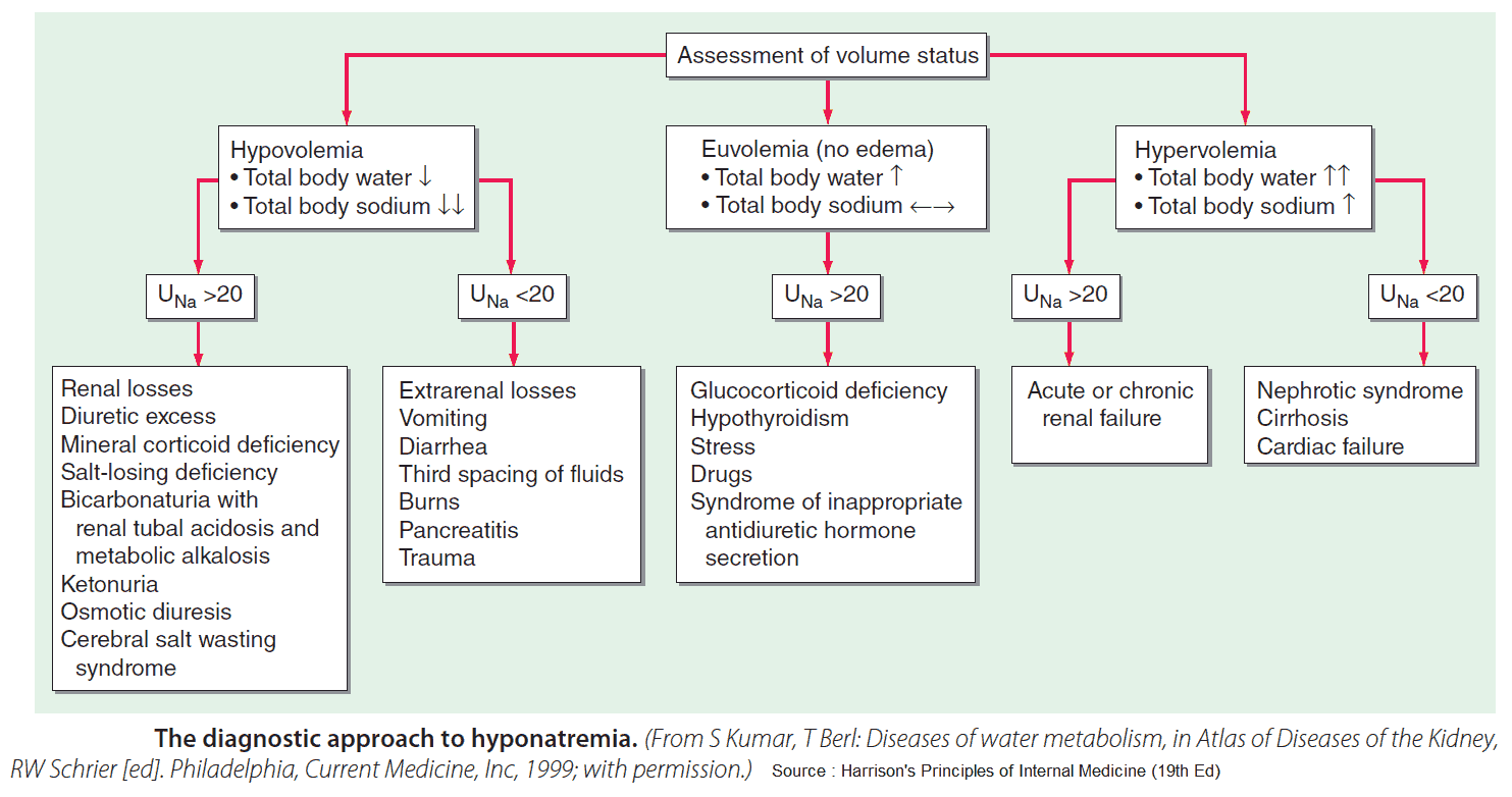 The Diagnostic Approach to Hyponatremia