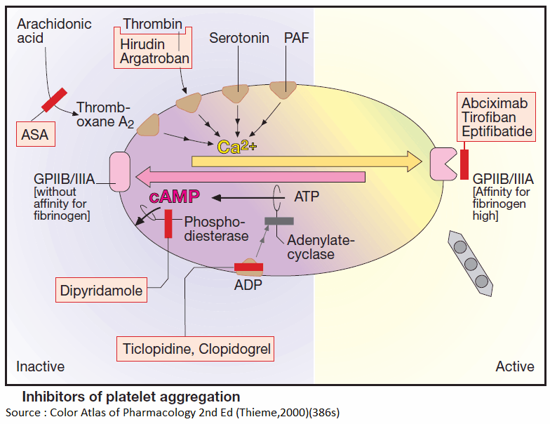 Mechanism of Action of Platelet Aggregation Inhibitors (Antiplatelets)