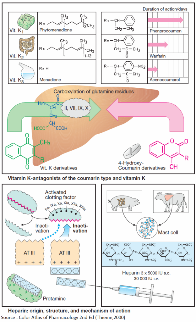 Vitamin K-antagonists and Heparin - origin, structure, and mechanism of action