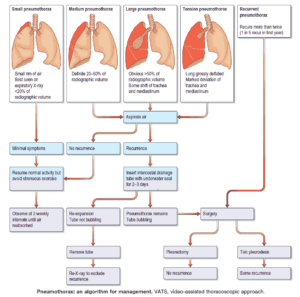 Blunt Chest Trauma Algorithm - Manual of Medicine