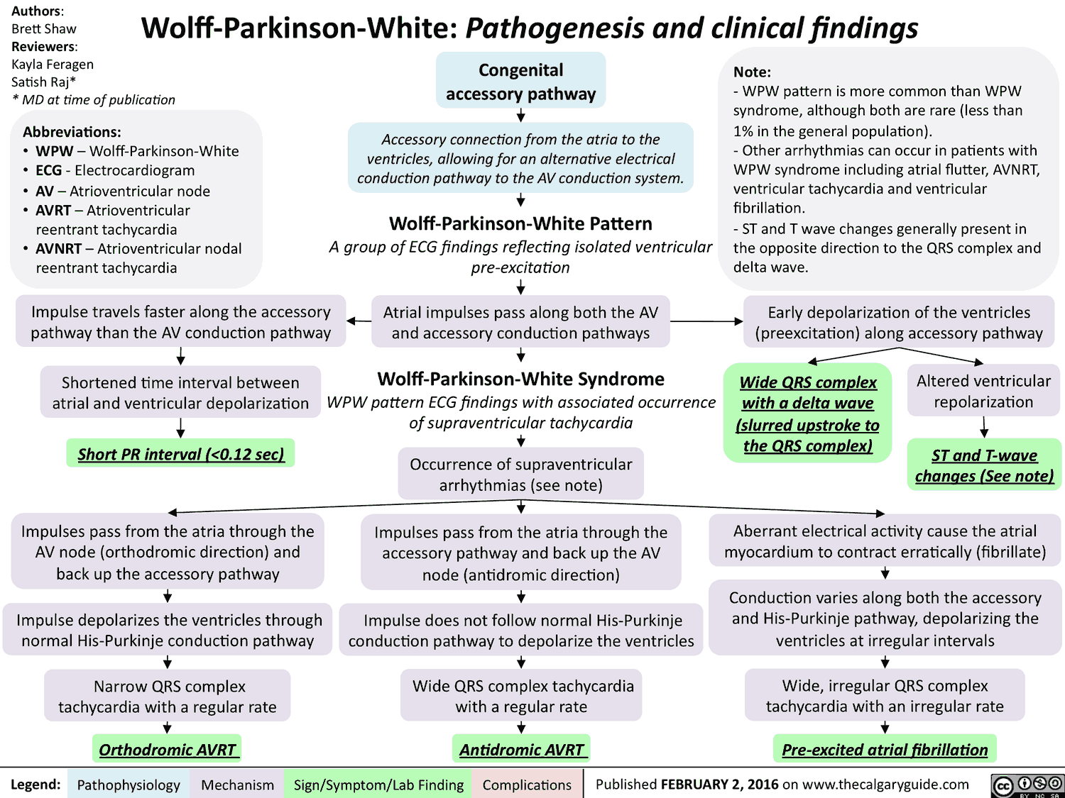 Wolff-Parkinson-White - Pathogenesis and clinical findings