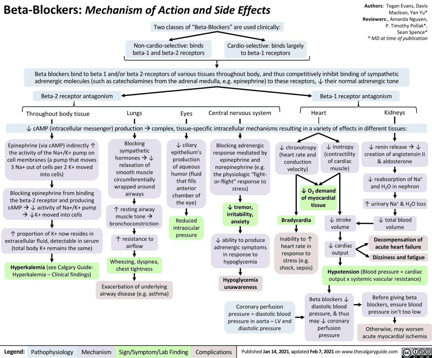 Read more about the article Beta-Sympatholytics (Beta Blockers)