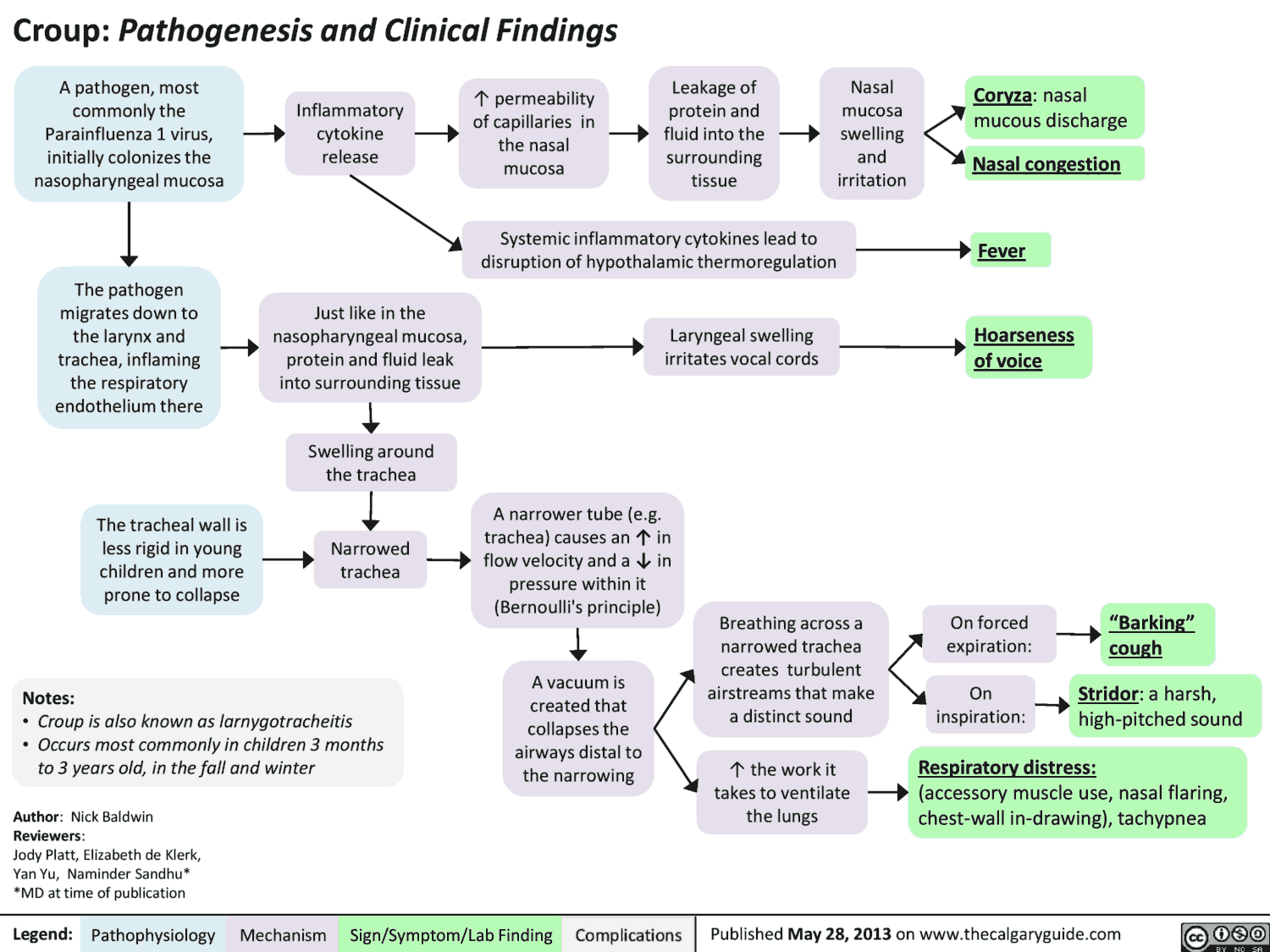 Croup - Pathogenesis and Clinical Findings