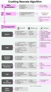 Read more about the article Crushing Neonate – Diagnostic Algorithm and Treatment