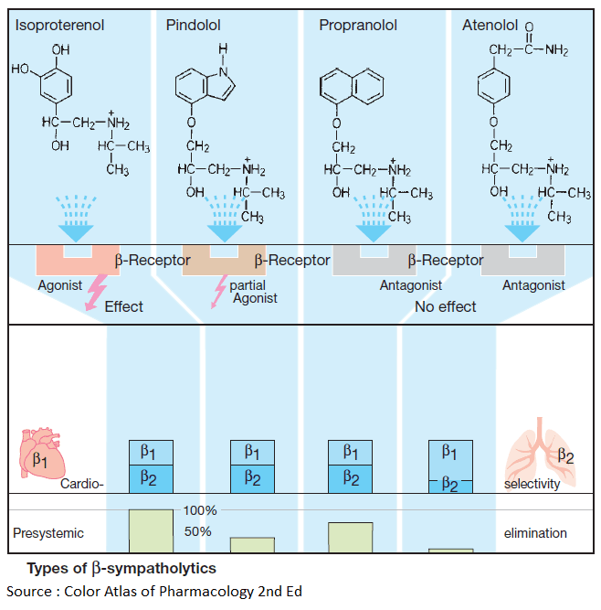 Types of Beta-sympatholytics (Beta Blockers)