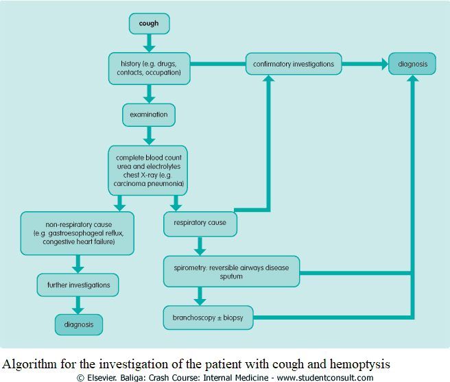Algorithm for the investigation of the patient with cough and hemoptysis