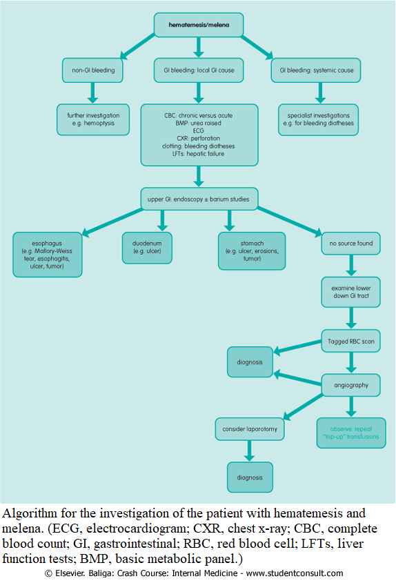 Algorithm for the investigation of the patient with hematemesis and melena