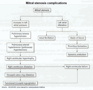 Heart Murmurs and Valvular Diseases - Differential Diagnosis ...