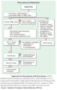 Approach to Hematuria and Proteinuria - Manual of Medicine