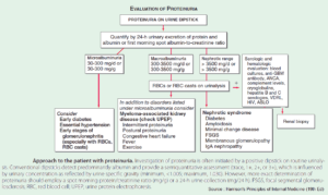 Proteinuria Algorithm Management Approach to Hematuria and Proteinuria - Manual of Medicine