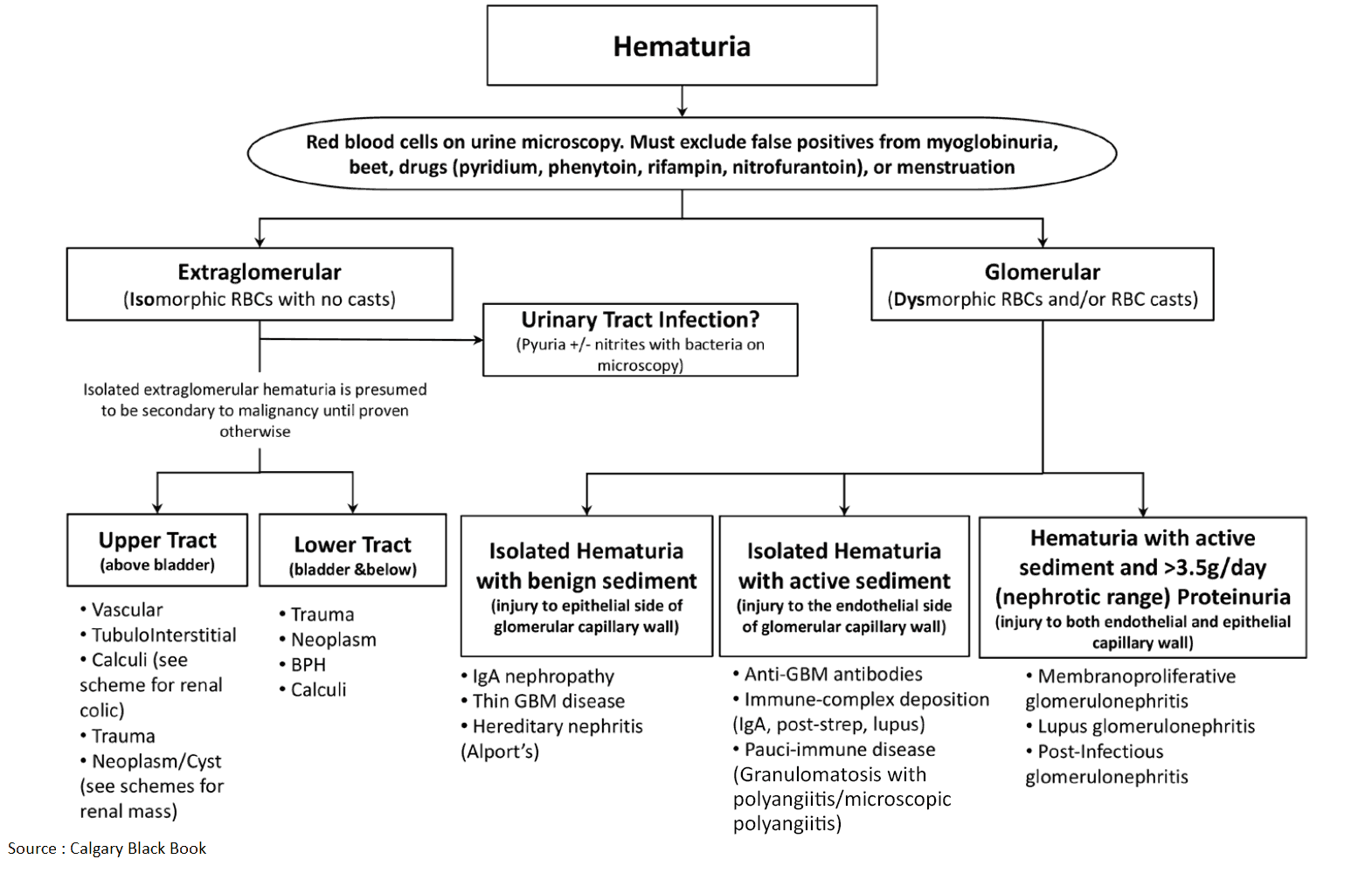 Hematuria - Differential Diagnosis