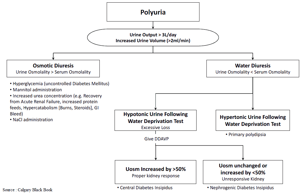 Polyuria - Differential Diagnosis