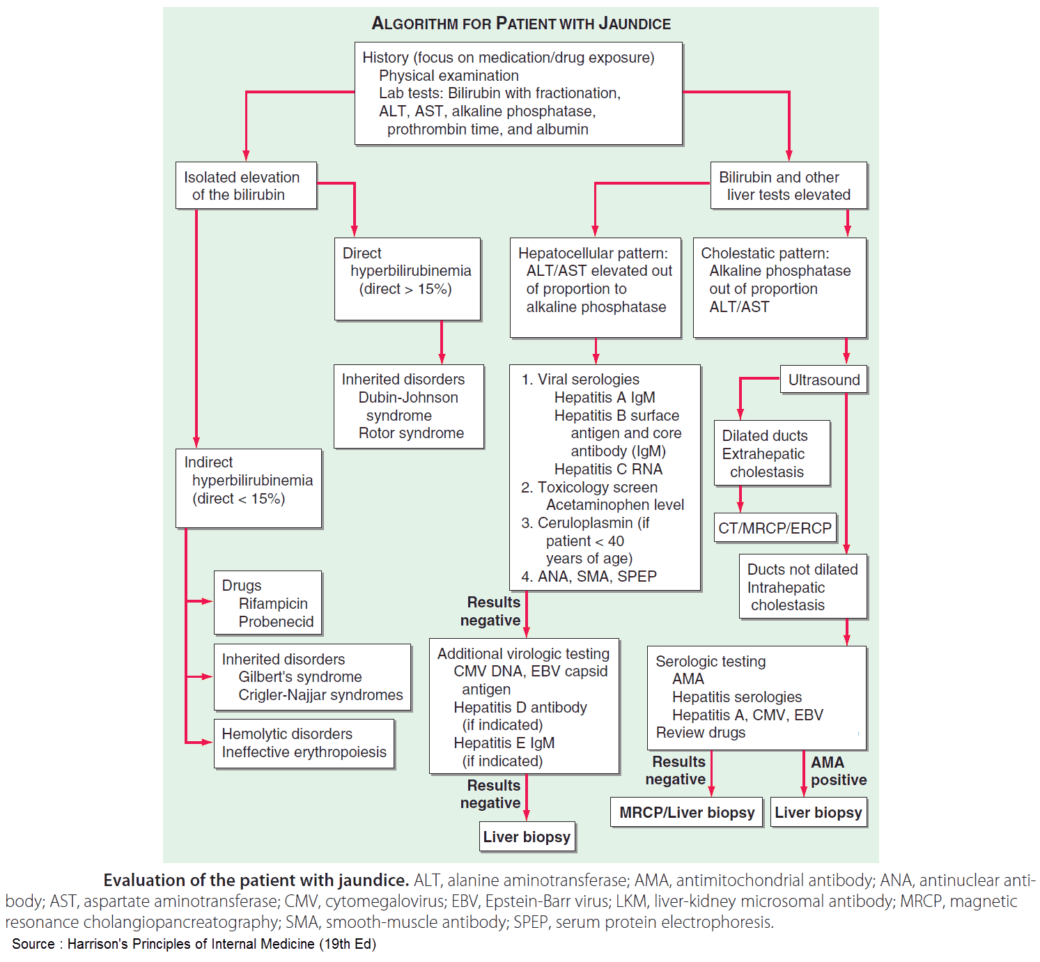 Algorithm for Evaluation of the patient with jaundice