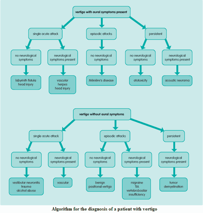 Algorithm for the diagnosis of a patient with vertigo