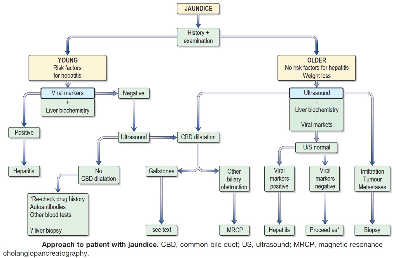 Approach to patient with jaundice