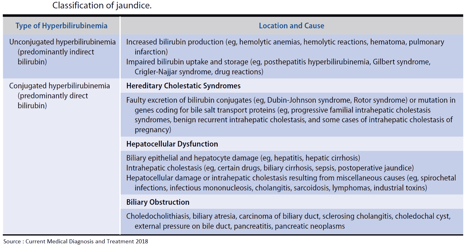 Classification and Causes of Jaundice