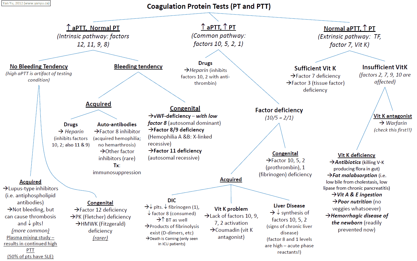 Coagulation Protein Tests (PT and PTT)