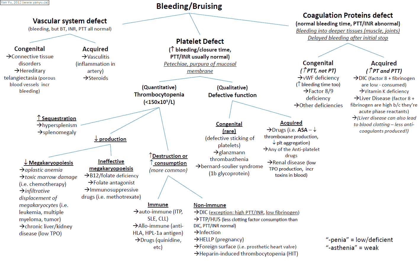 Differential Diagnosis for Bleeding and Bruising