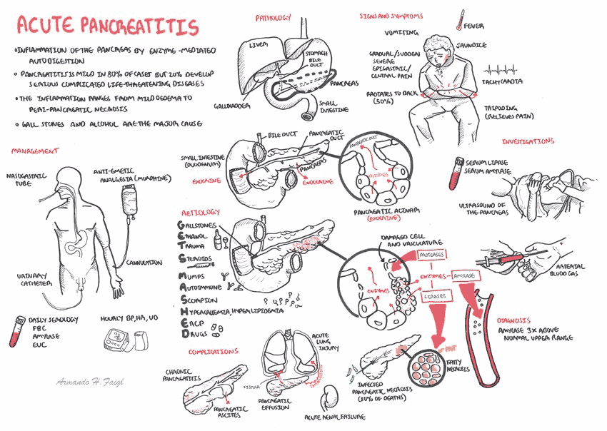 get-smashed-pancreatitis-cheyennekruwolson