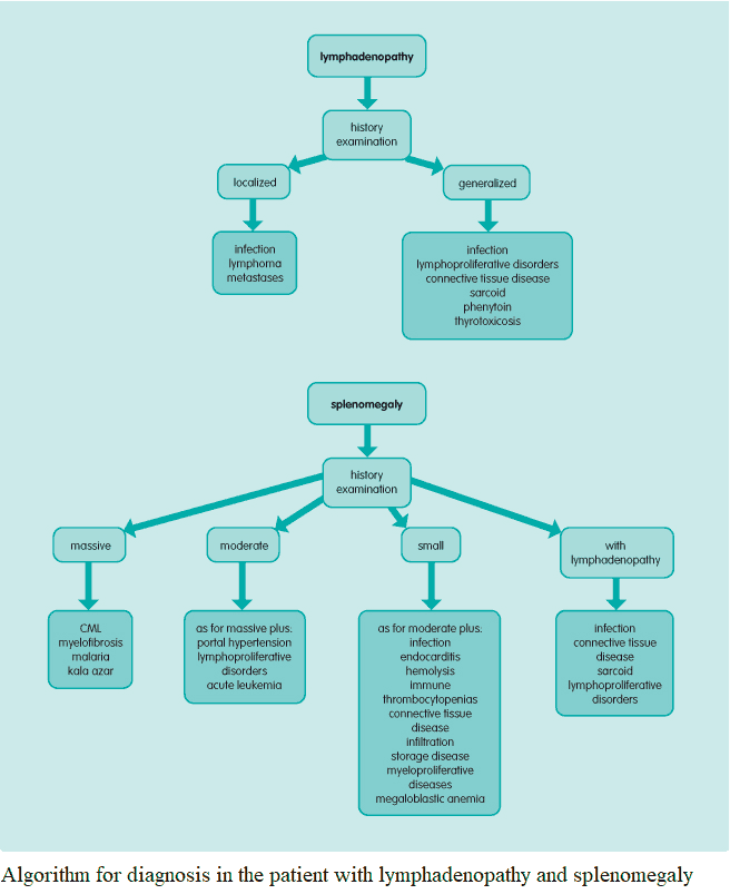 Algorithm for diagnosis in the patient with lymphadenopathy and splenomegaly