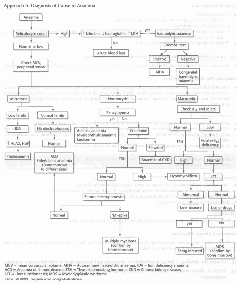 Approach to Diagnosis of Cause of Anaemia