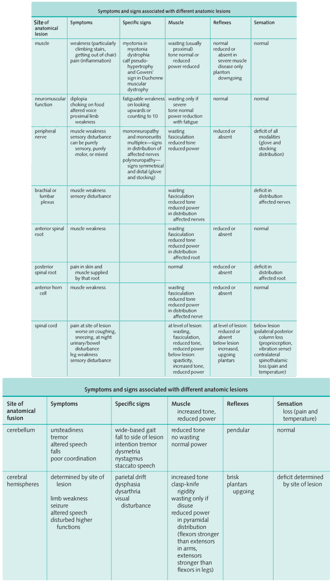 Sensory and Motor Neurologic Deficits - Symptoms and Signs Associated with Different Anatomic Lesions