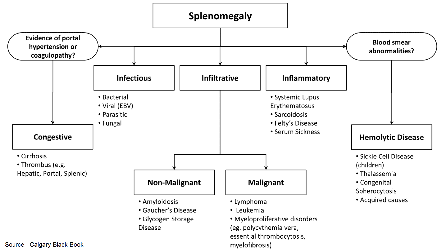 Splenomegaly - causes