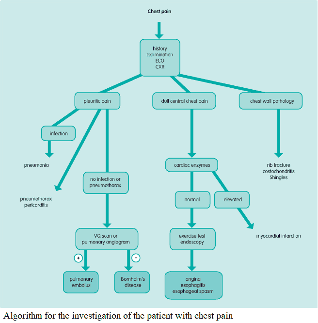 Algorithm for the investigation of the patient with chest pain