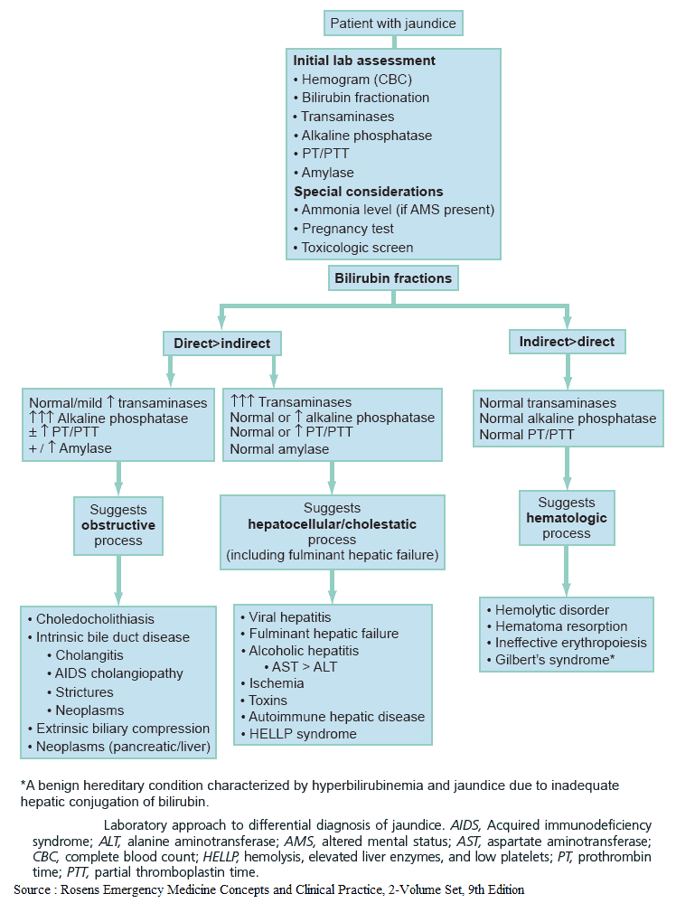 Laboratory Approach to Differential Diagnosis of Jaundice